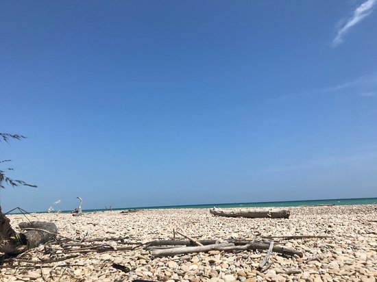 Spiaggia di Mottagrossa