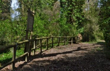 Tour Bosco di Don Venanzio-Bosco di Casalbordino-Lecceta-Punta Aderci